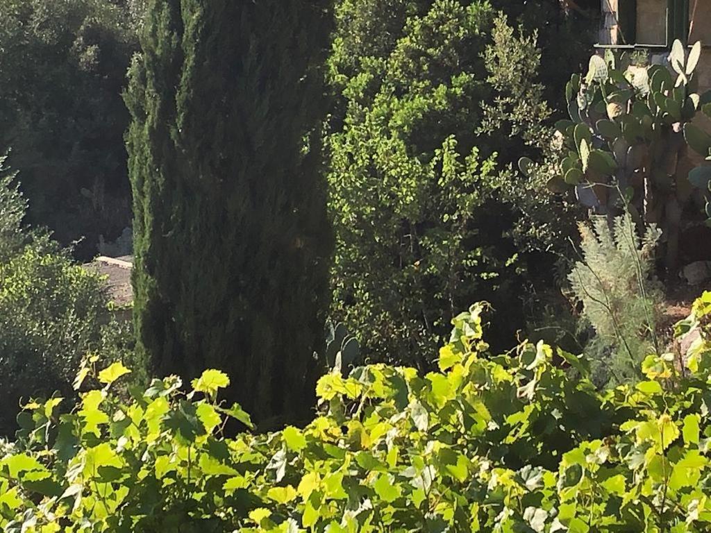 Vistalago Garden Doria Monteleone Rocca Doria المظهر الخارجي الصورة