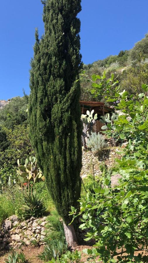 Vistalago Garden Doria Monteleone Rocca Doria المظهر الخارجي الصورة