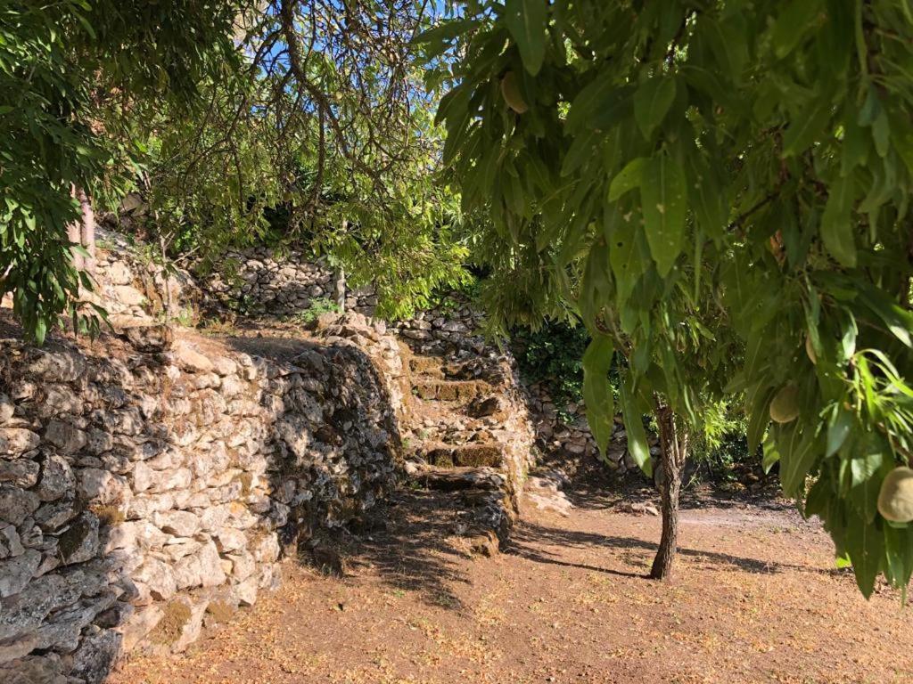 Vistalago Garden Doria Monteleone Rocca Doria المظهر الخارجي الصورة